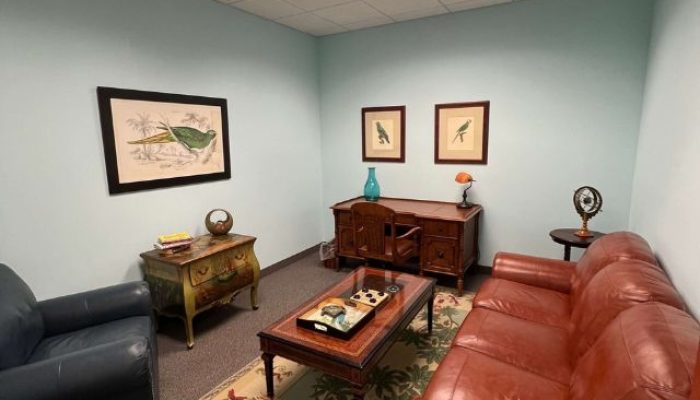 This is a picture of a mental health counselor's office in Stuart, Florida with brown couch, blue chair, wooden dresser, and various art pieces.